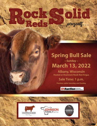 Rock Solid Reds - 2022 Bull Sale
