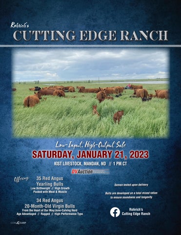 Rohrick's Cutting Edge Ranch - 2023 Spring Sale
