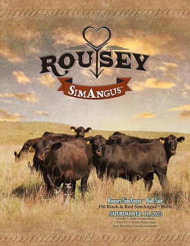 Rousey SimAngus - 2023 Spring Sale