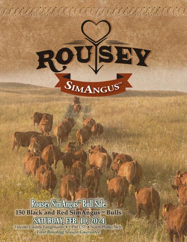 Rousey SimAngus Bull Sale
