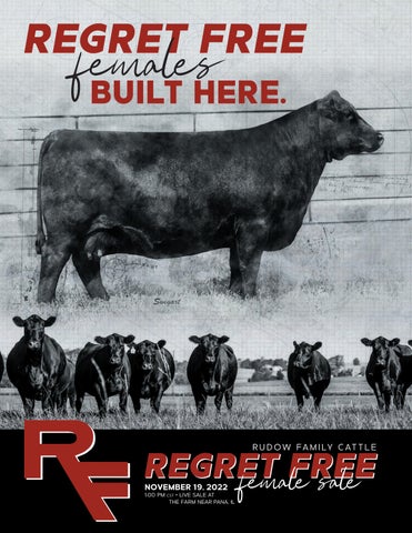Rudow Family Cattle - 2022 Female Fall Sale