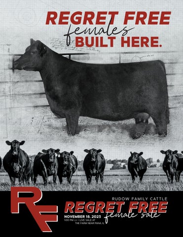 Rudow Family Cattle - 2023 Fall Female Sale