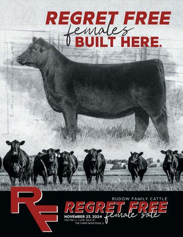 Rudow Family Cattle Regret Free Female Sale