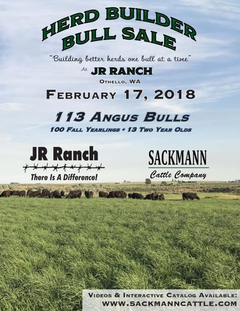 Sackmann Cattle/JR Ranch - 2018 Bull Sale
