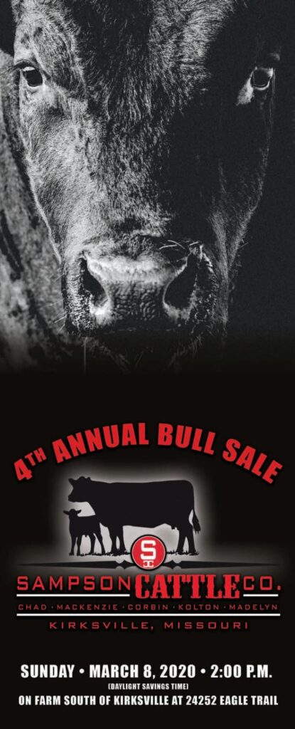 Sampson Cattle Co - 2020 Sale