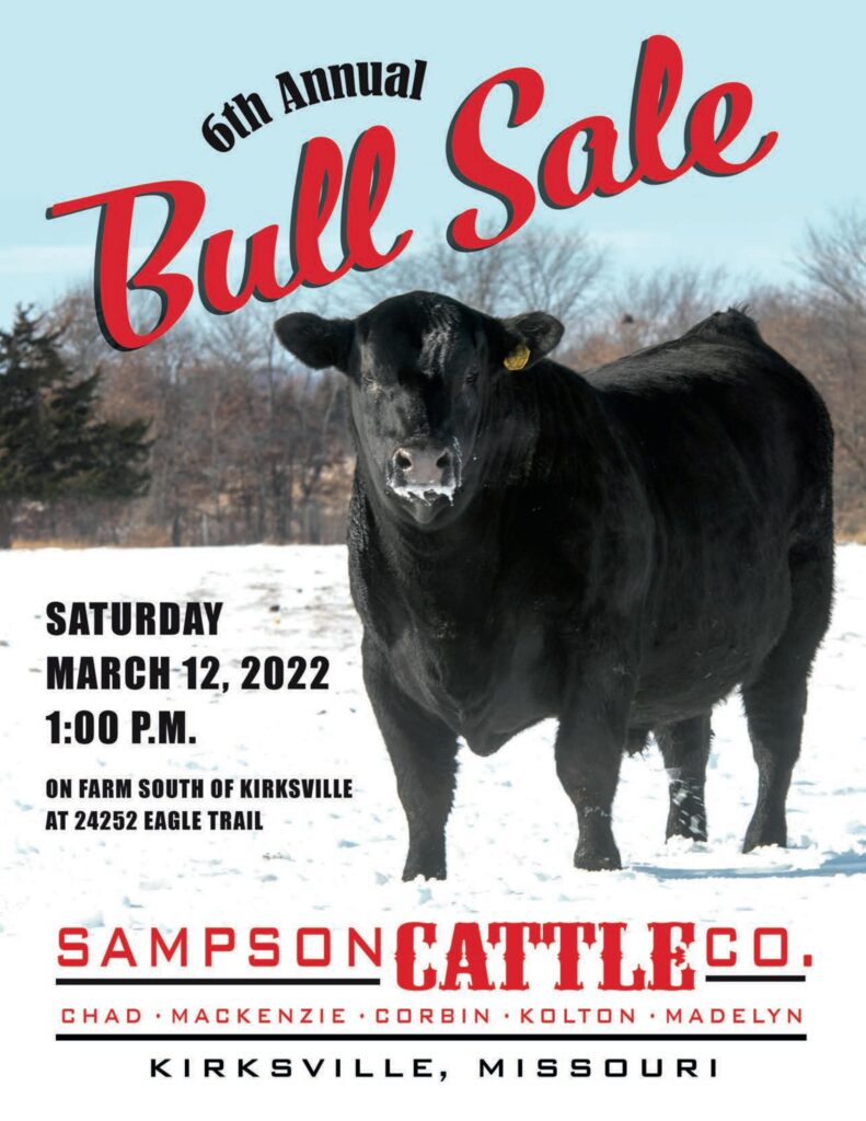 Sampson Cattle Co - 2022 Spring Sale