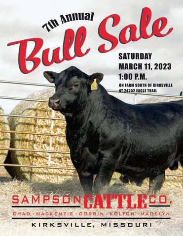 Sampson Cattle Co - 2023 Spring Sale