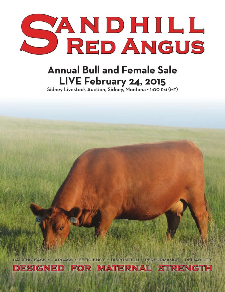 Sandhill Red Angus - 2015 Bull and Female Sale