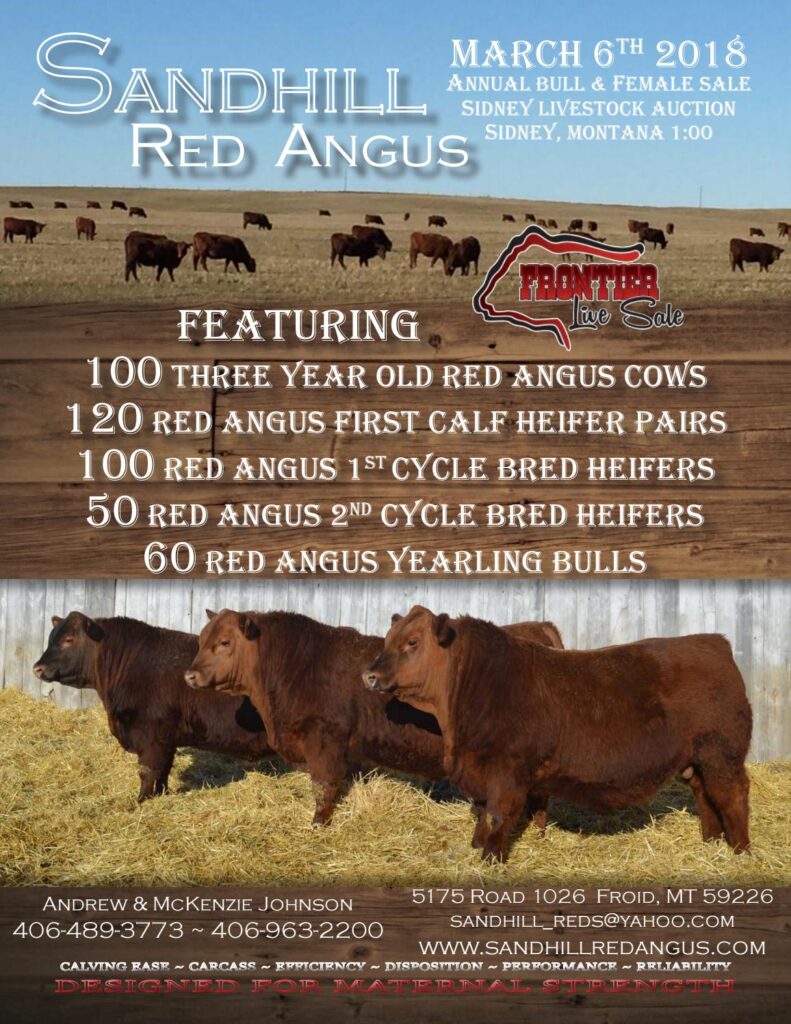Sandhills Red Angus - 2018 Bull Sale