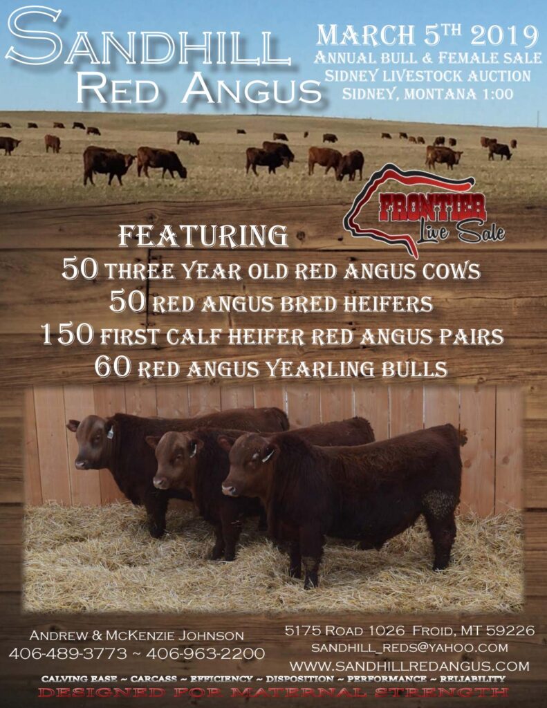 Sandhills Red Angus - 2019 Bull Sale