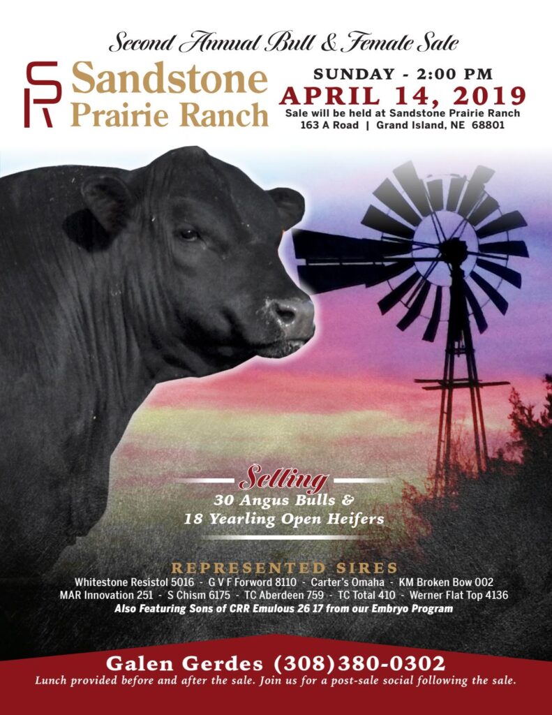 Sandstone Prairie Ranch - 2019 Sale