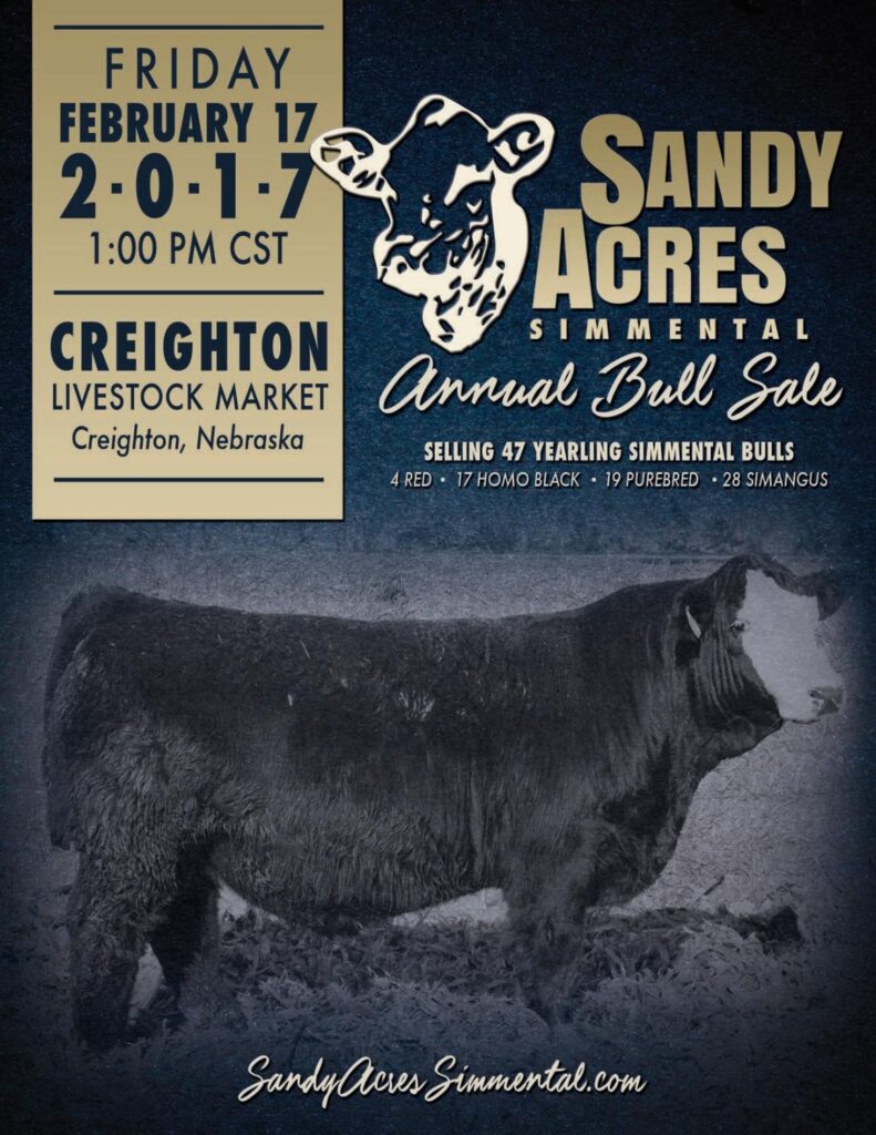 Sandy Acres Simmental - 2017 Production Sale