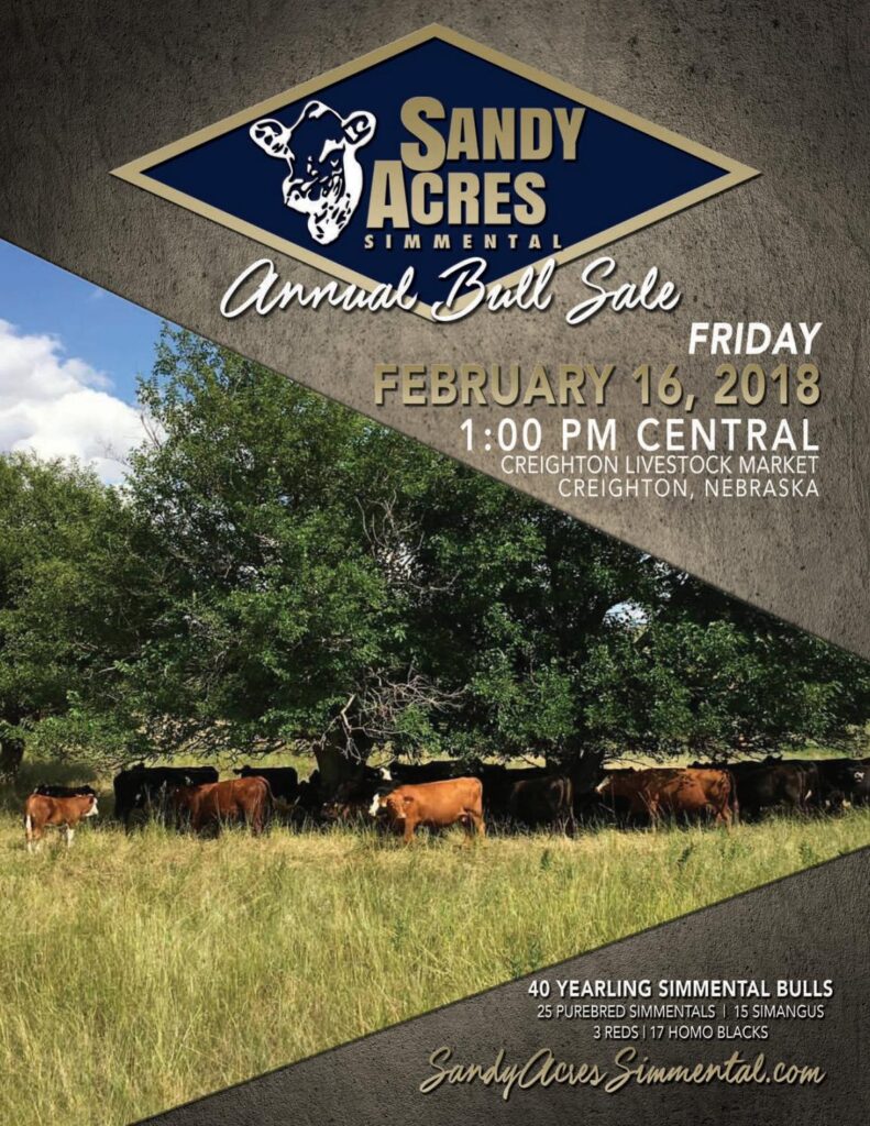 Sandy Acres Simmental - 2018 Bull Sale