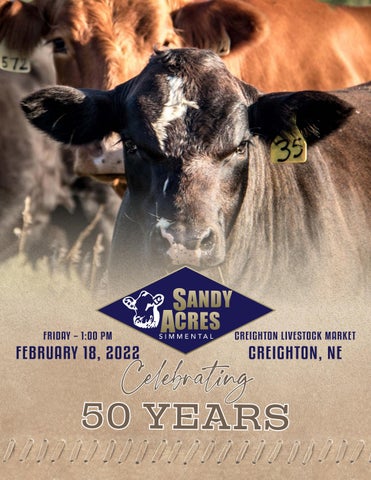 Sandy Acres Simmental - 2022 Spring Sale