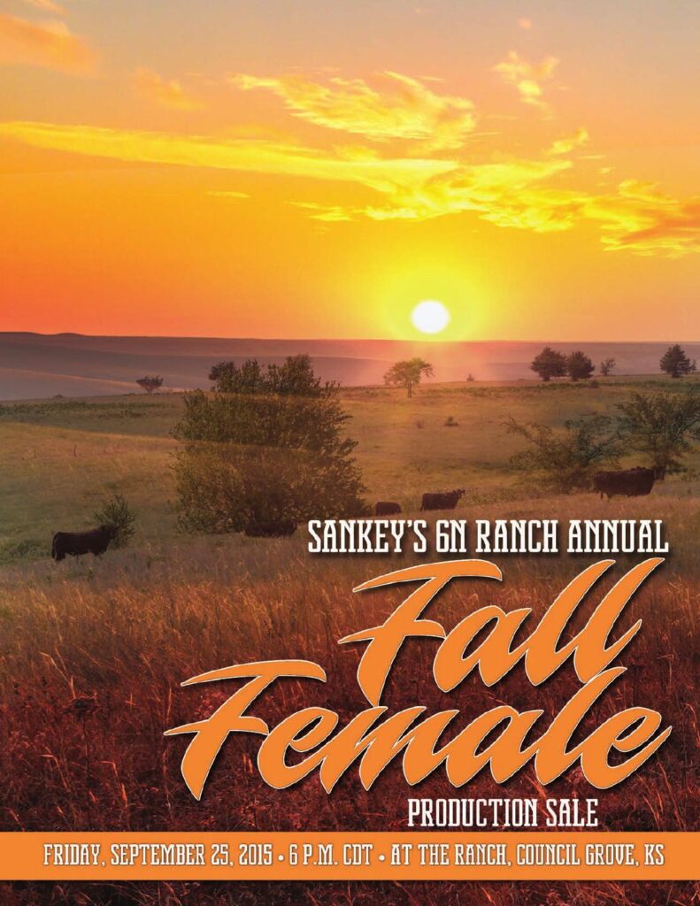 Sankey's 6N Ranch - 2015 Fall Female Production Sale