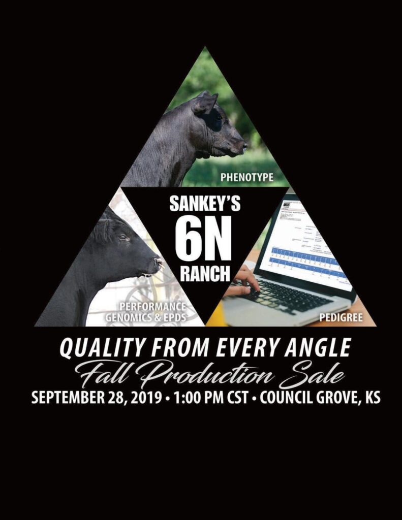 Sankey's 6N Ranch - 2019 Fall Female Production Sale