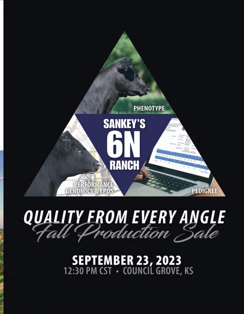 Sankey's 6N Ranch - 2023 Fall Production Sale
