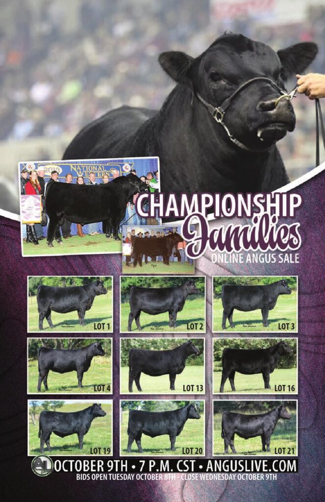 Sankeys 6N Ranch - Championship Families Online Sale