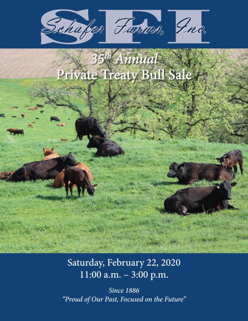 Schafer Farms - 2020 Bull Sale Sale