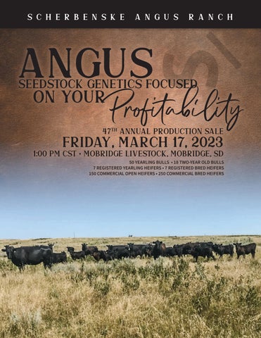 Scherbenske Angus Ranch - 2023 Spring Sale