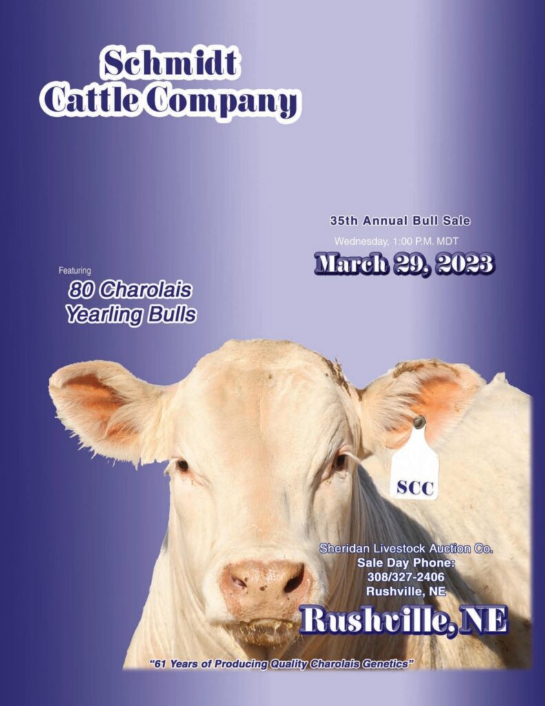 Schmidt Cattle - 2023 Spring Sale