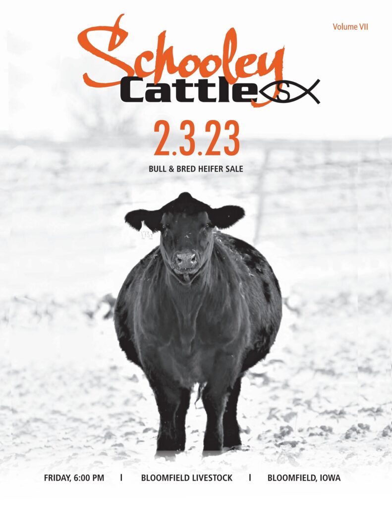 Schooley Cattle Co - 2023 Bull & Female Sale