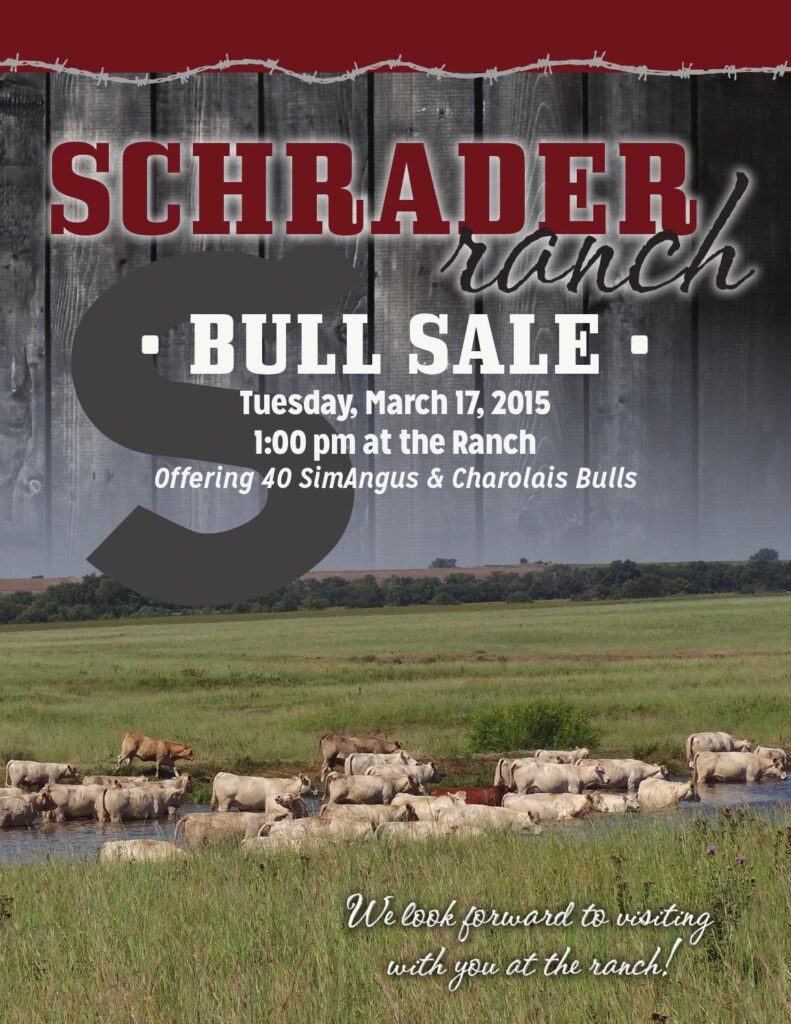 Schrader Ranch - 2015 Bull Sale