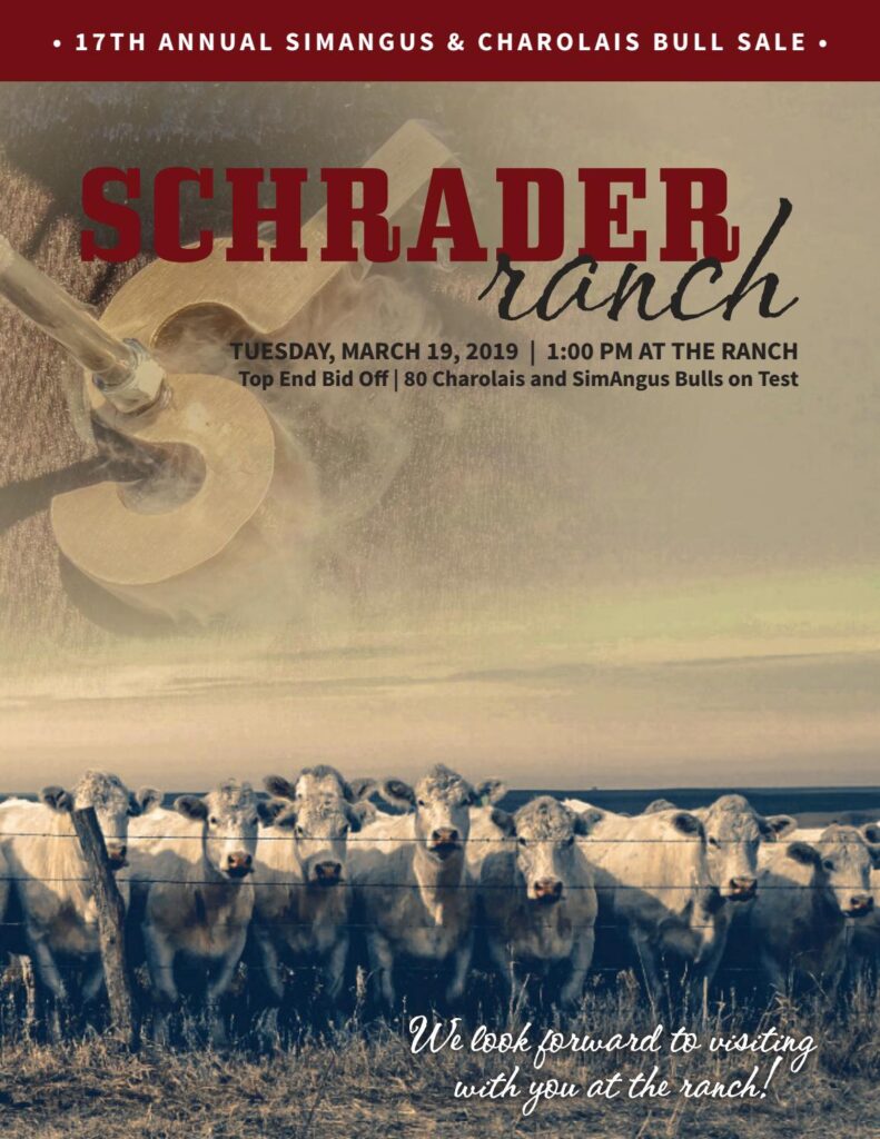 Schrader Ranch - 2019 Bull Sale