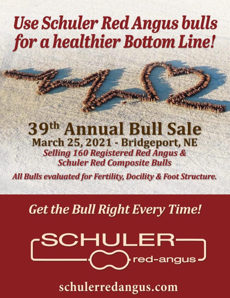 Schuler Red Angus - 2021 Spring Sale