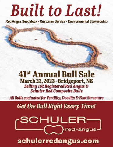 Schuler Red Angus - 2023 Spring Sale