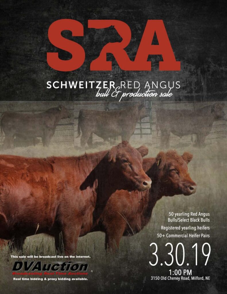Schweitzer Red Angus - 2019 Sale