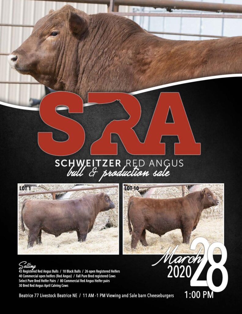 Schweitzer Red Angus - 2020 Spring Sale