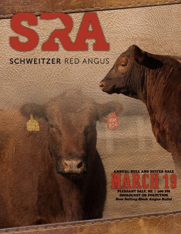 Schweitzer Red Angus - 2022 Spring Sale