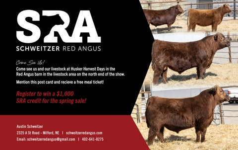 Schweitzer Red Angus - 2023 Husker Harvest Days Postcard
