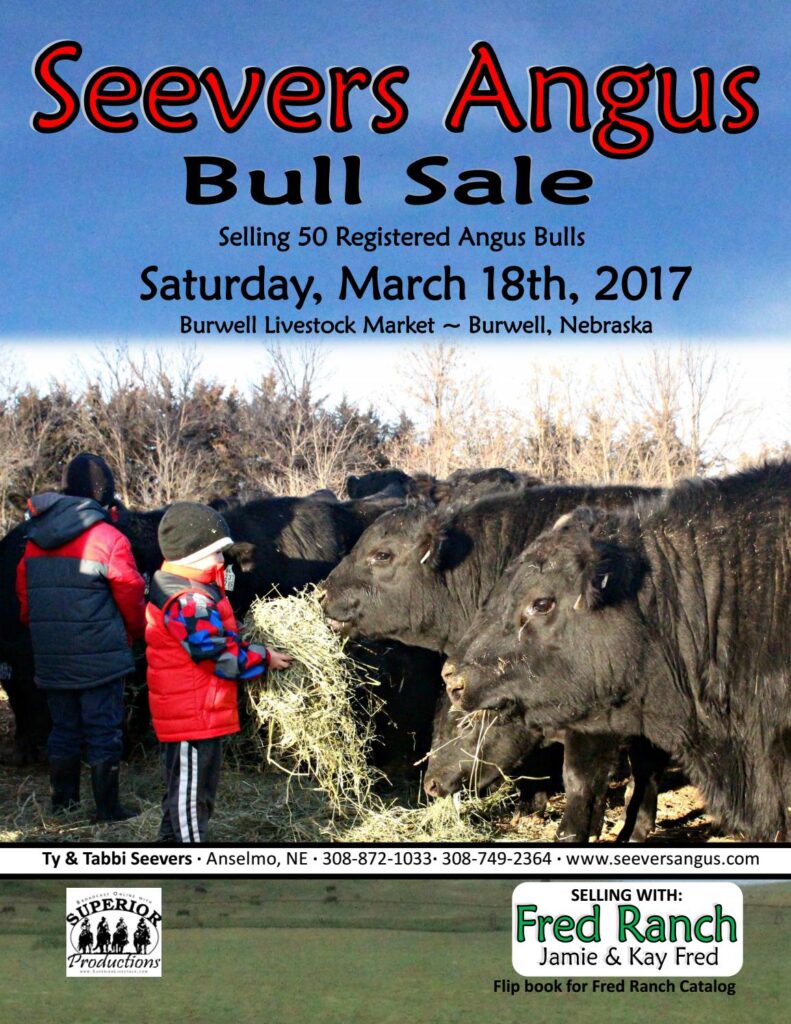 Seevers Angus - 2017 Bull Sale
