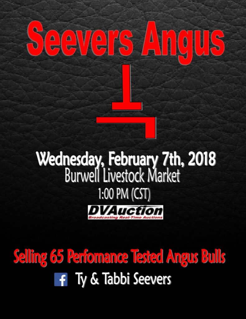 Seevers Angus - 2018 Bull Sale