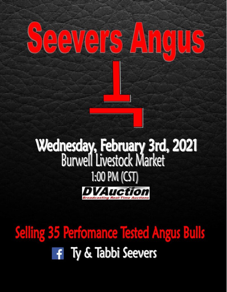 Seevers Angus - 2021 Spring Bull Sale