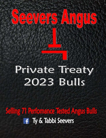 Seevers Angus - 2023 Spring Bull Sale