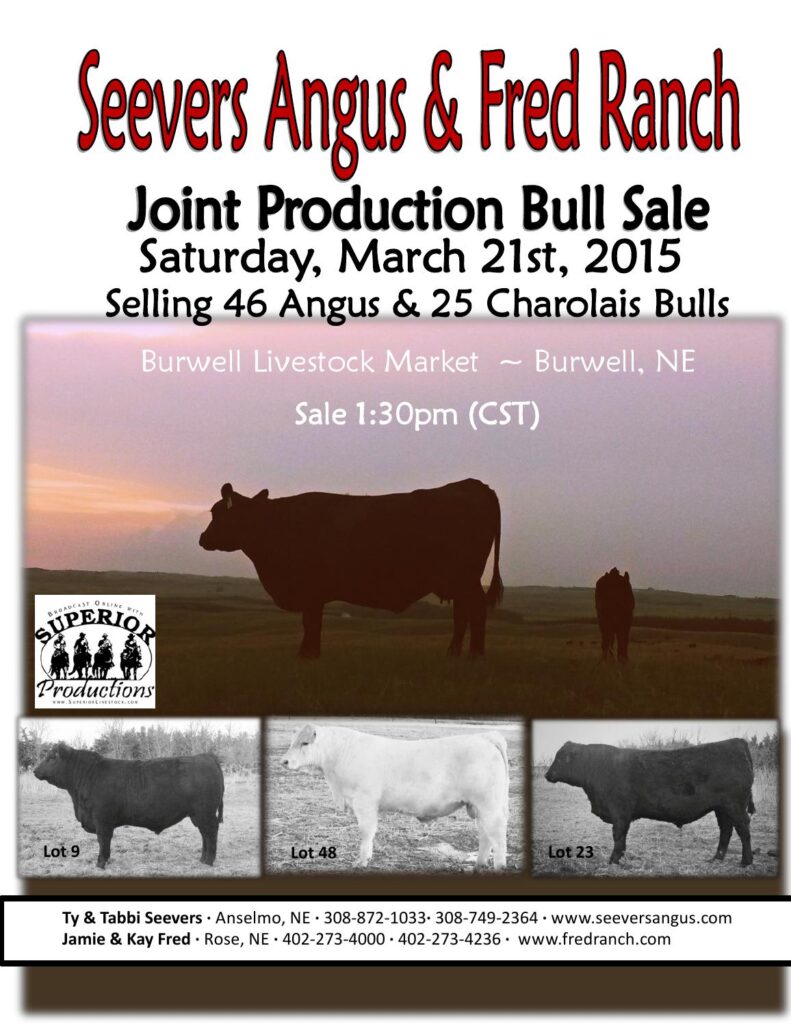 Seevers Angus and Fred Ranch - 2015 Joint Production Bull Sale