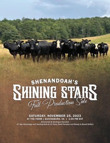 Shenandoah's Shining Stars Fall Production sSale
