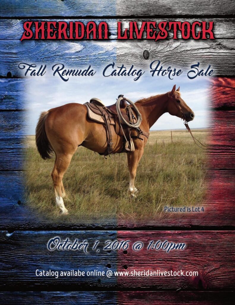 Sheridan Livestock - 2016 Fall Remuda Horse Sale