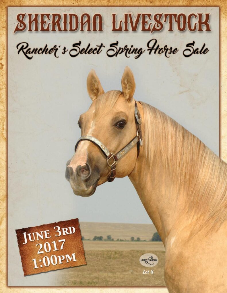 Sheridan Livestock - 2017 Rancher's Select Spring Horse Sale