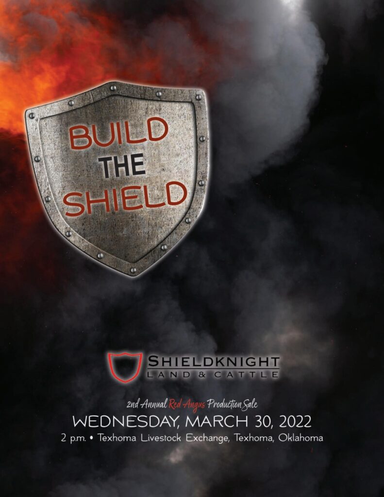Shieldnight Red Angus - 2022 Spring Sale