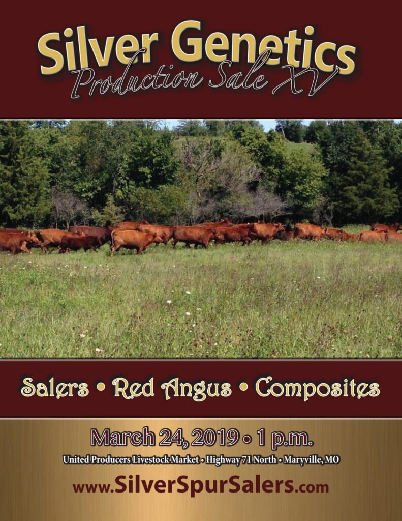 Silver Spur - 2019 Sale