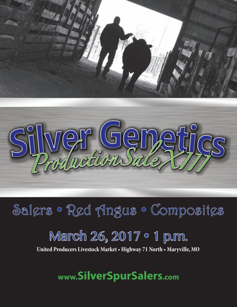 Silver Spur Salers - 2017 Production Sale