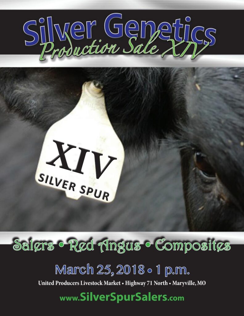 Silver Spur Salers - 2018 Production Sale
