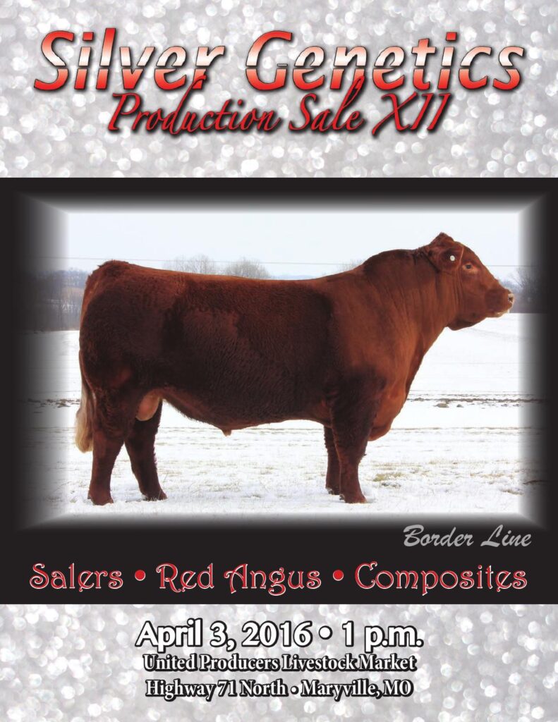 Silver Spur Salers - Silver Genetics Production Sale, Vol. XII