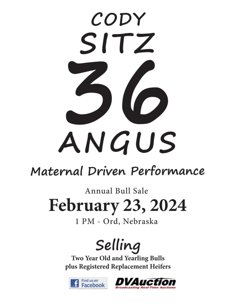 Sitz 36 Angus Annual Bull Sale