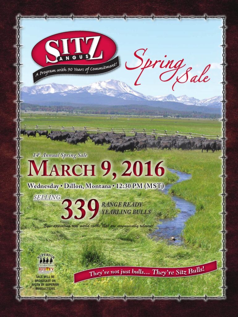 Sitz Angus - 2016 Spring Bull Sale