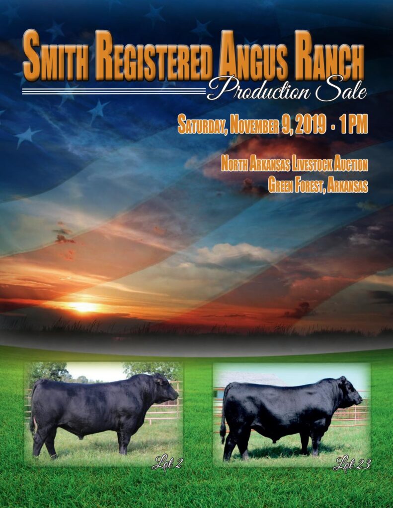 Smith Registered Angus Ranch - 2019 Bull Sale